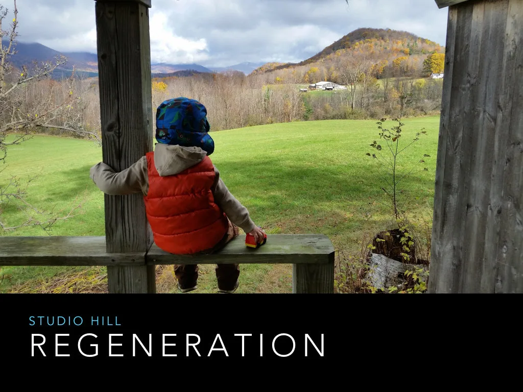 The Regeneration at Studio Hill: A Slideshow