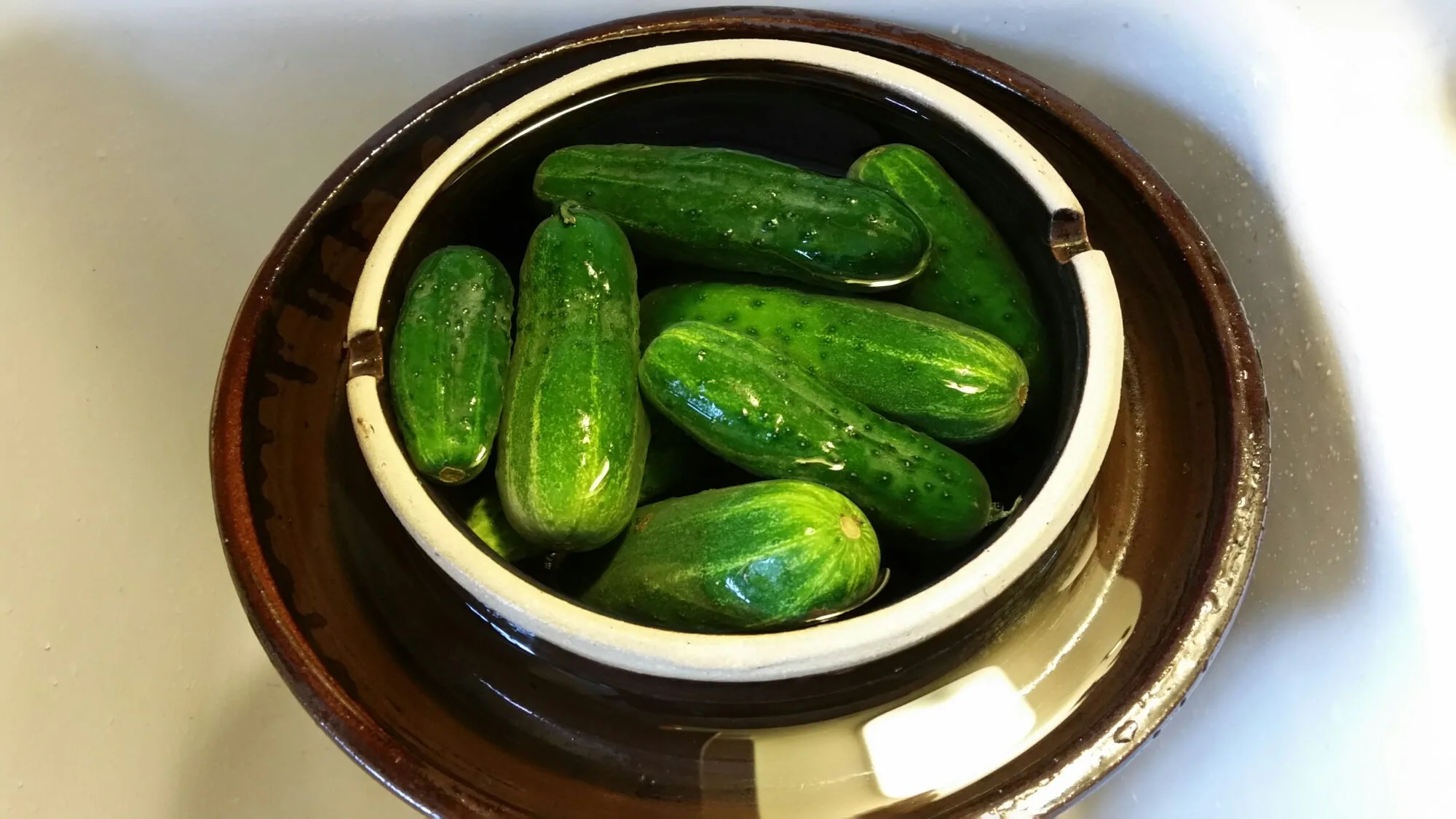 Our Season’s First Lacto-Fermented Garlic Dill Pickles